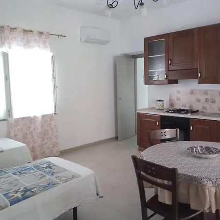 Housing Centro Daire